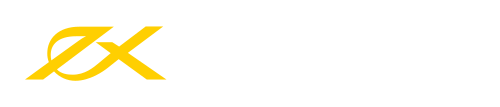 Exness Logo.